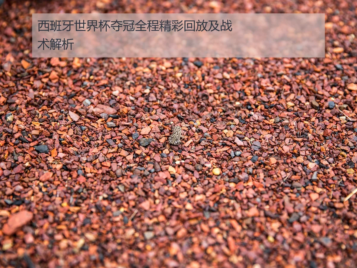 西班牙世界杯夺冠全程精彩回放及战术解析