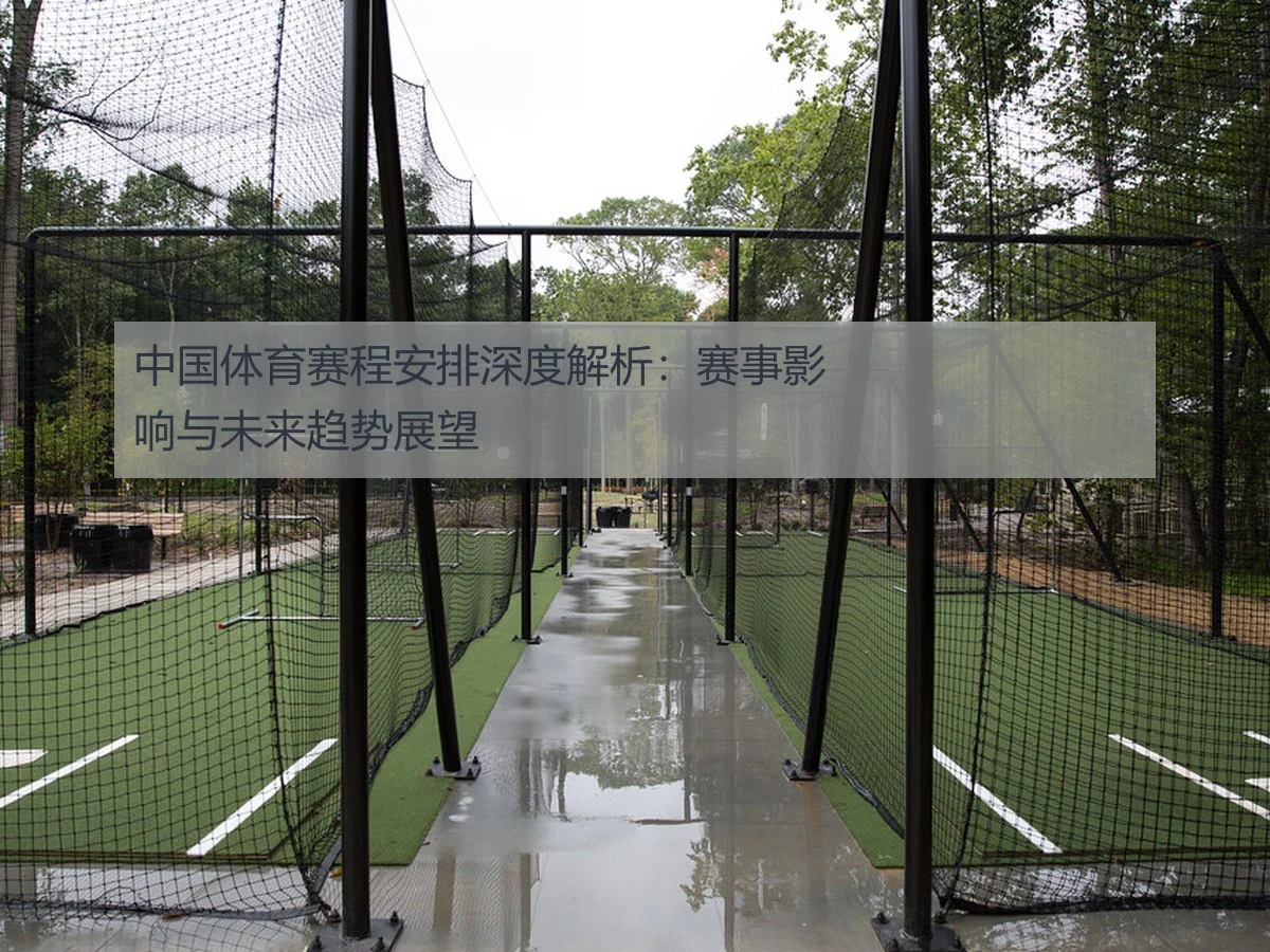 中国体育赛程安排深度解析：赛事影响与未来趋势展望